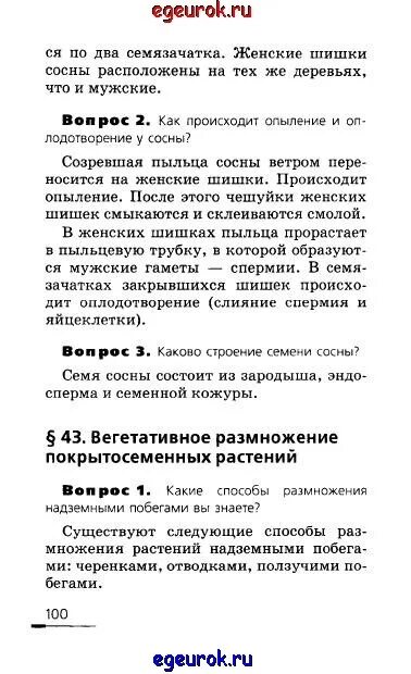 Биология 6 класс Пасечник ответы на вопросы. Биология 6 класс параграф 6 ответы на вопросы. Биология 6 класс Пасечник параграф 15 ответы на вопросы. Биология 6 класс параграф 7 ответы на вопросы. Биология 6 класс учебник пасечник 22 параграф