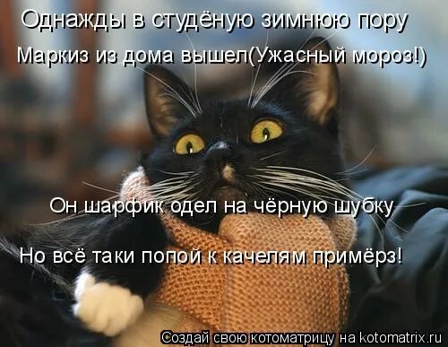 Можно выходить из дома только по вторникам. Однажды в Студёную зимнюю пору. Смешной стих однажды в студеную зимнюю пору. Однажды в Студёную зимнюю пору прикол. Однажды в Студёную зимнюю пору стихотворение смешное.