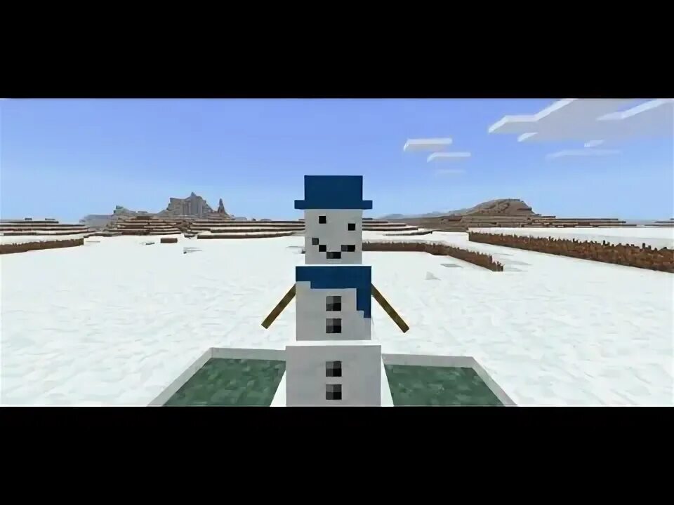 Type minecraft snowball run