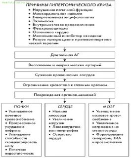 Потенциальная проблема пациента при гипертоническом