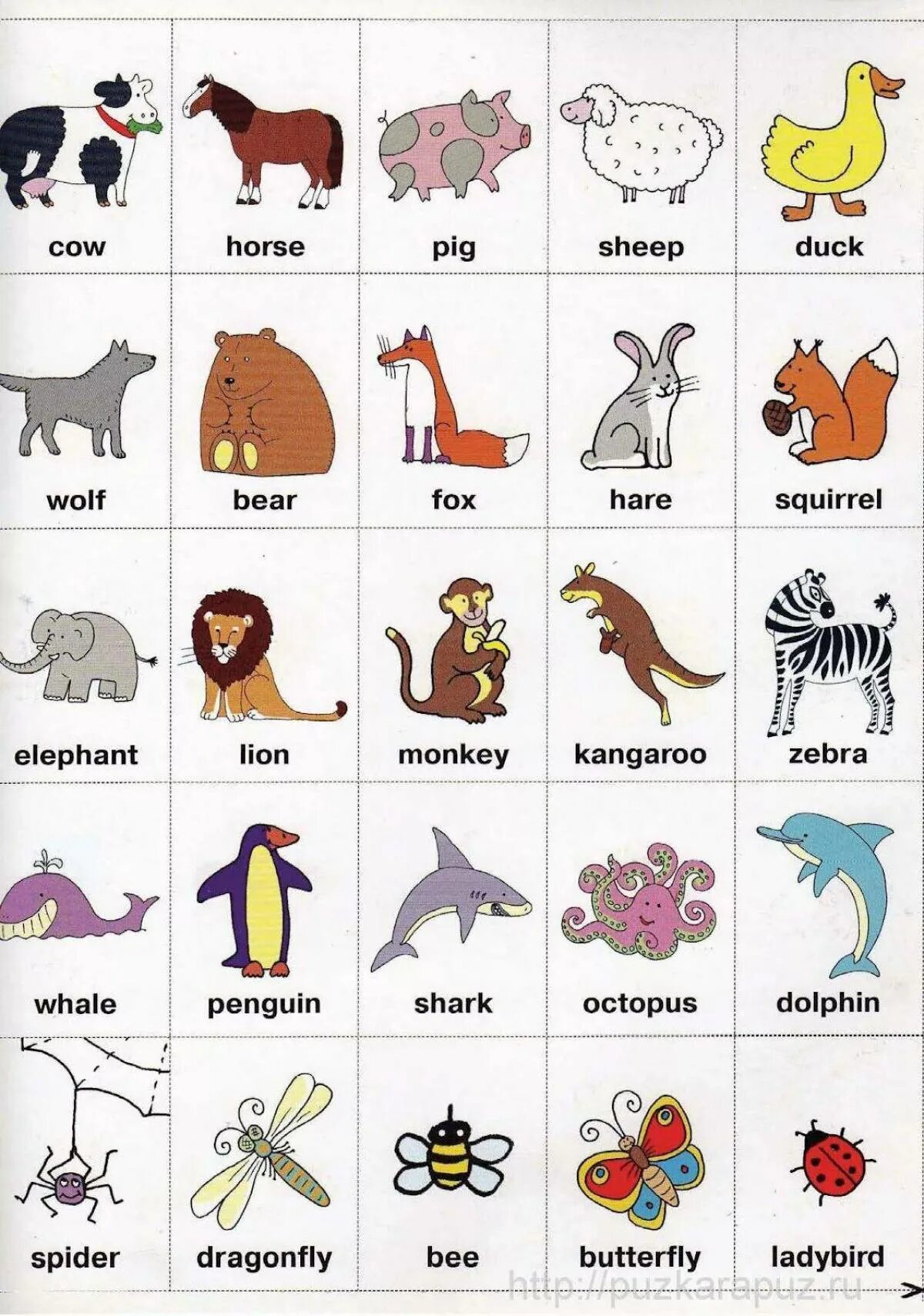 Учим английский. Дикие животные. Wild animals. Учим название диких животных на а