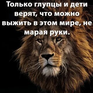 Марал руки