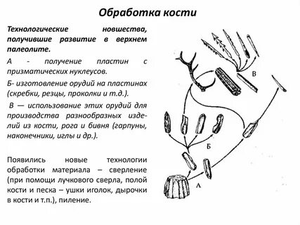 Кость обработать