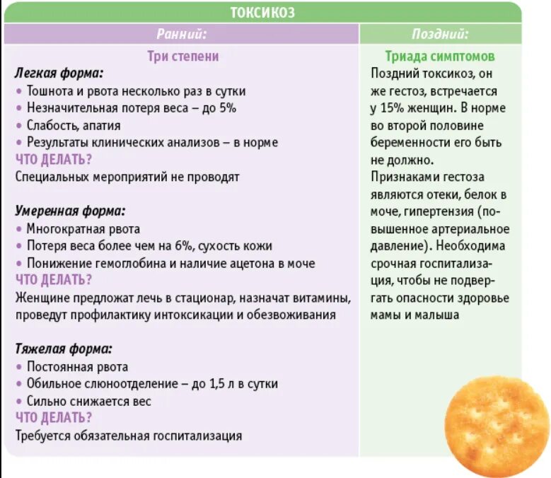 Врачи в первом триместре