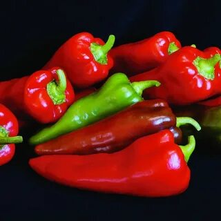 Sweet pepper