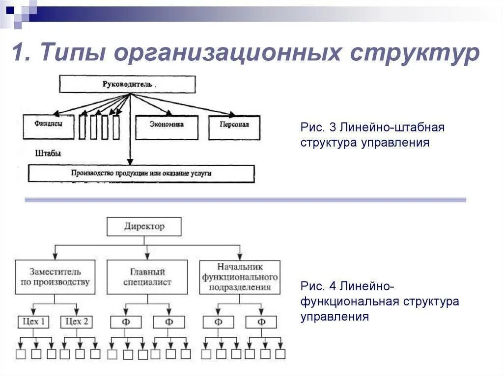 Какую структуру вы представляете. Типы организационных структур фирмы. 1.1 Типы организационной структуры предприятия. Базовая схема организационной структуры. Виды организационных структур организации в менеджменте.