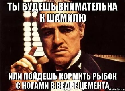 Пойдем кормить