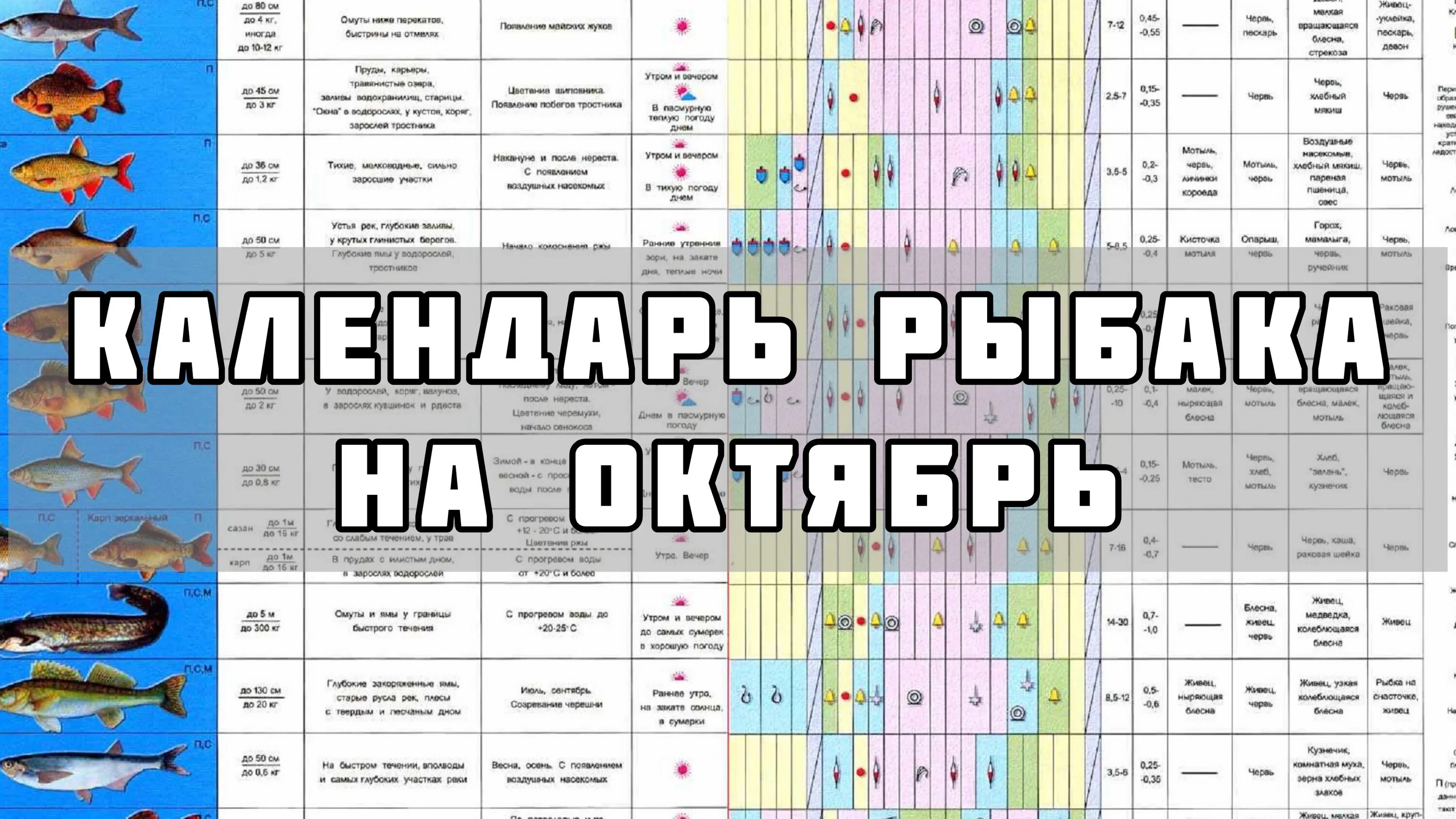 Календарь рыбалки. Таблица клева рыбы. Календарь рыболова. Календарь рыбака н.