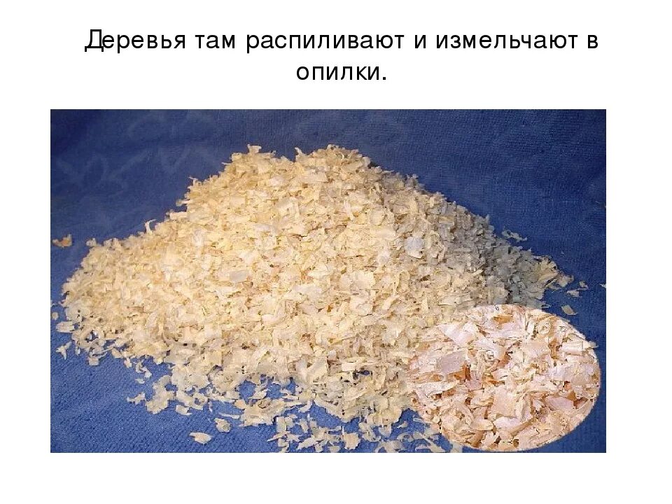 Как разделить железные и древесные опилки. Целлюлоза из опилок. опилки для бумаги. бумага из опилок. древесные опилки ph.