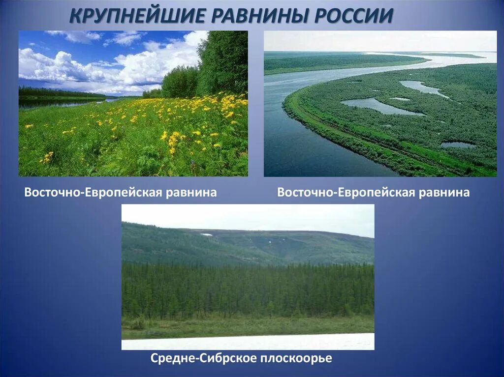 Равнины России. Крупнейшие равнины России. Рельеф Российской равнины. Карта крупнейших равнин России.