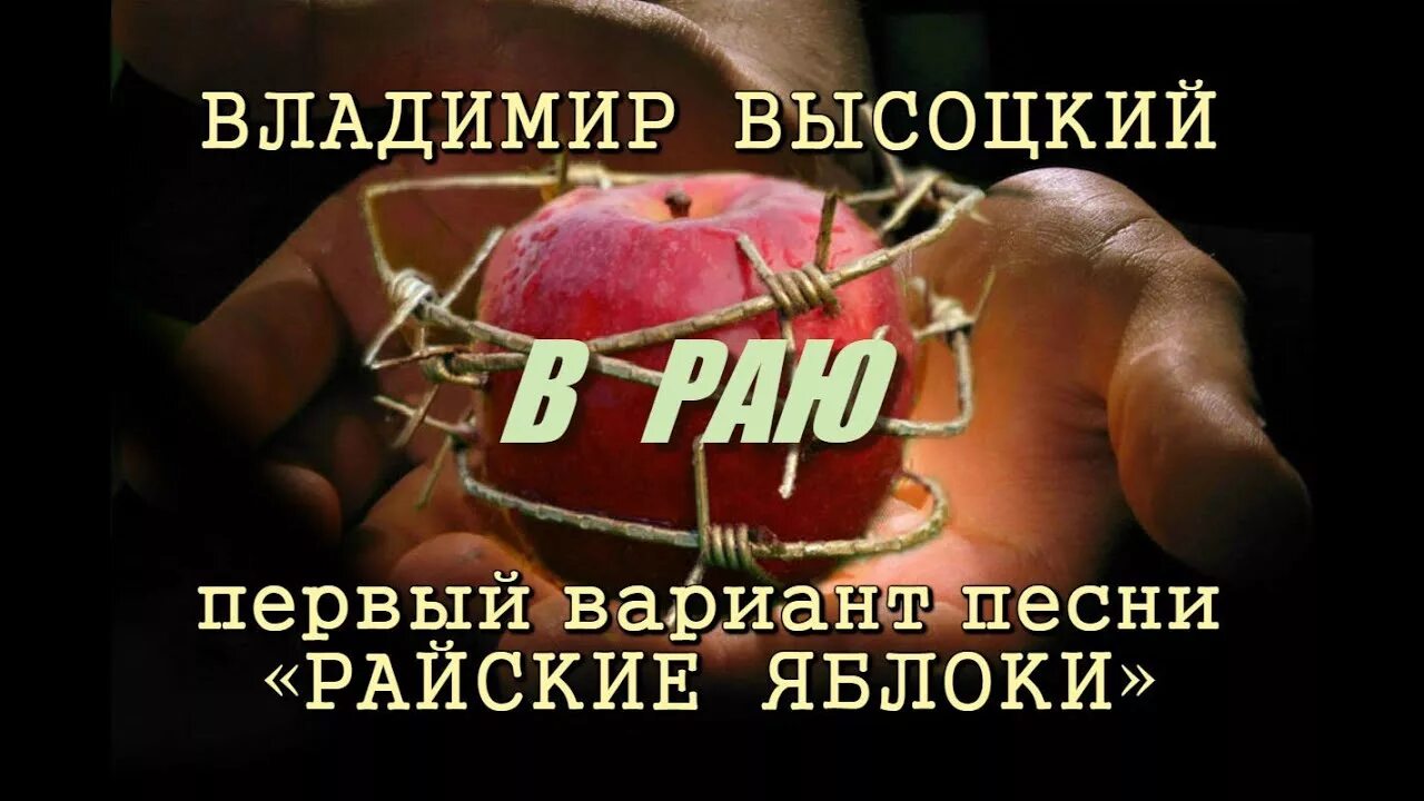 Высоцкий яблоки текст. Райские. Яблочки Высоц. Райские яблочки Высоцкий. Райские яблочки стих Высоцкого.