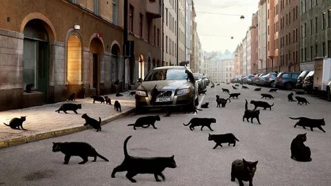 Реклама котиков посреди арбата