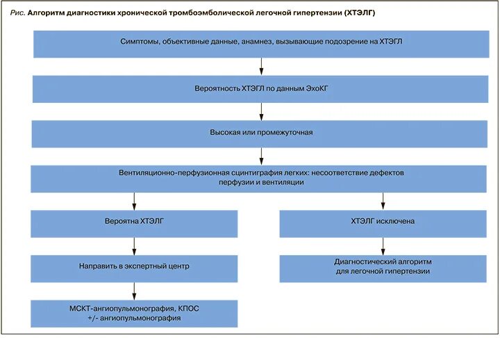 Алгоритм диагностики. Диагностический алгоритм ХТЭЛГ. Методы диагностики легочной гипертензии. Хроническая тромбоэмболическая легочная гипертензия мкб.