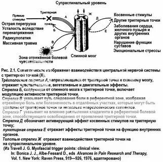 Как переводится точка