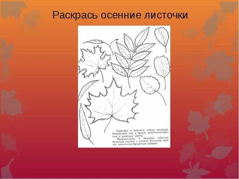 Конспект 2 класс осенние листья. Разрисовать осенние листья. проект осенние листья. раскрасить листочки по осеннему. где листочки.