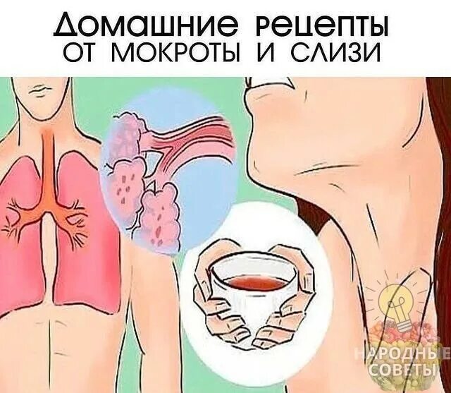 Как избавиться от мокроты без кашля. Как избавиться от мокроты без кашля