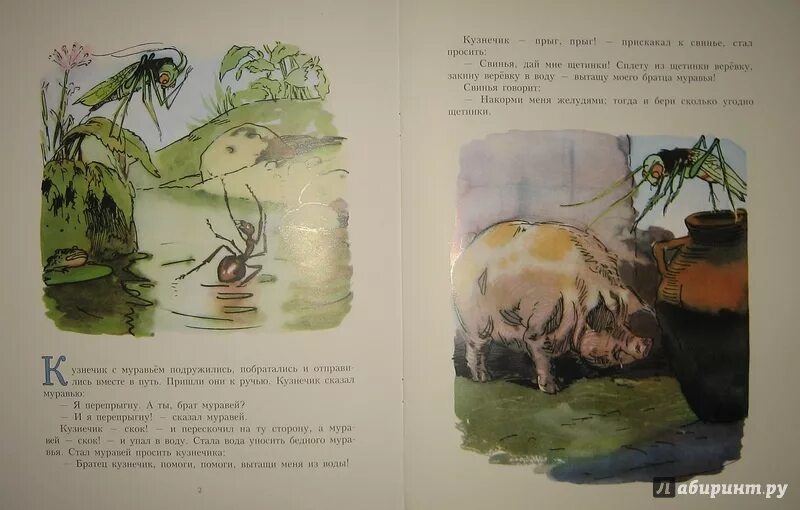 Кузнечик читать полностью. Кузнечик и муравей книга. рассказ о кузнечике. кологрив кузнечик читать. кологрив кузнечик читать 2 класс.