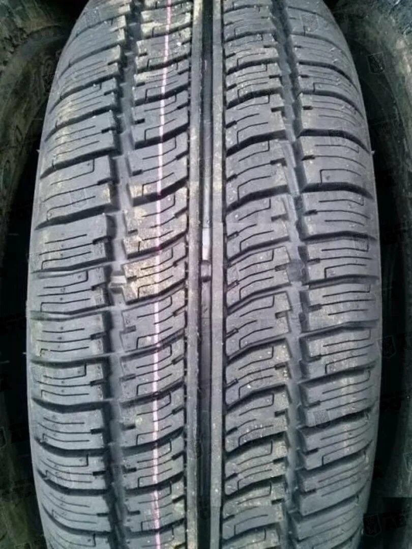 Колеса летние 14 175 65. Кама-217 175/65 r14. Кама-217 175/65. Резину Кама 217 всесезонка. Кама-217 175/65r14 82h (Нжкм).