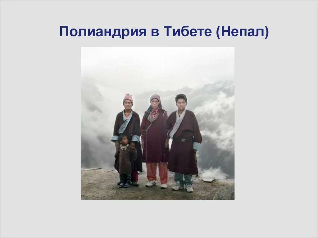 Полиандрия что это. Дельфийская полиандрия тибет. полиандрия семья это. полигиния и полиандрия. многомужество в тибете.