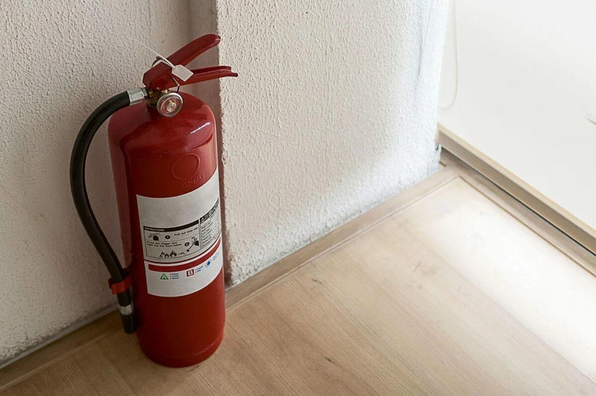 Каждый огнетушитель должен быть. 2а55все огнетушитель. Домашний огнетушитель. Огнетушитель в здании. Огнетушитель в офисе.