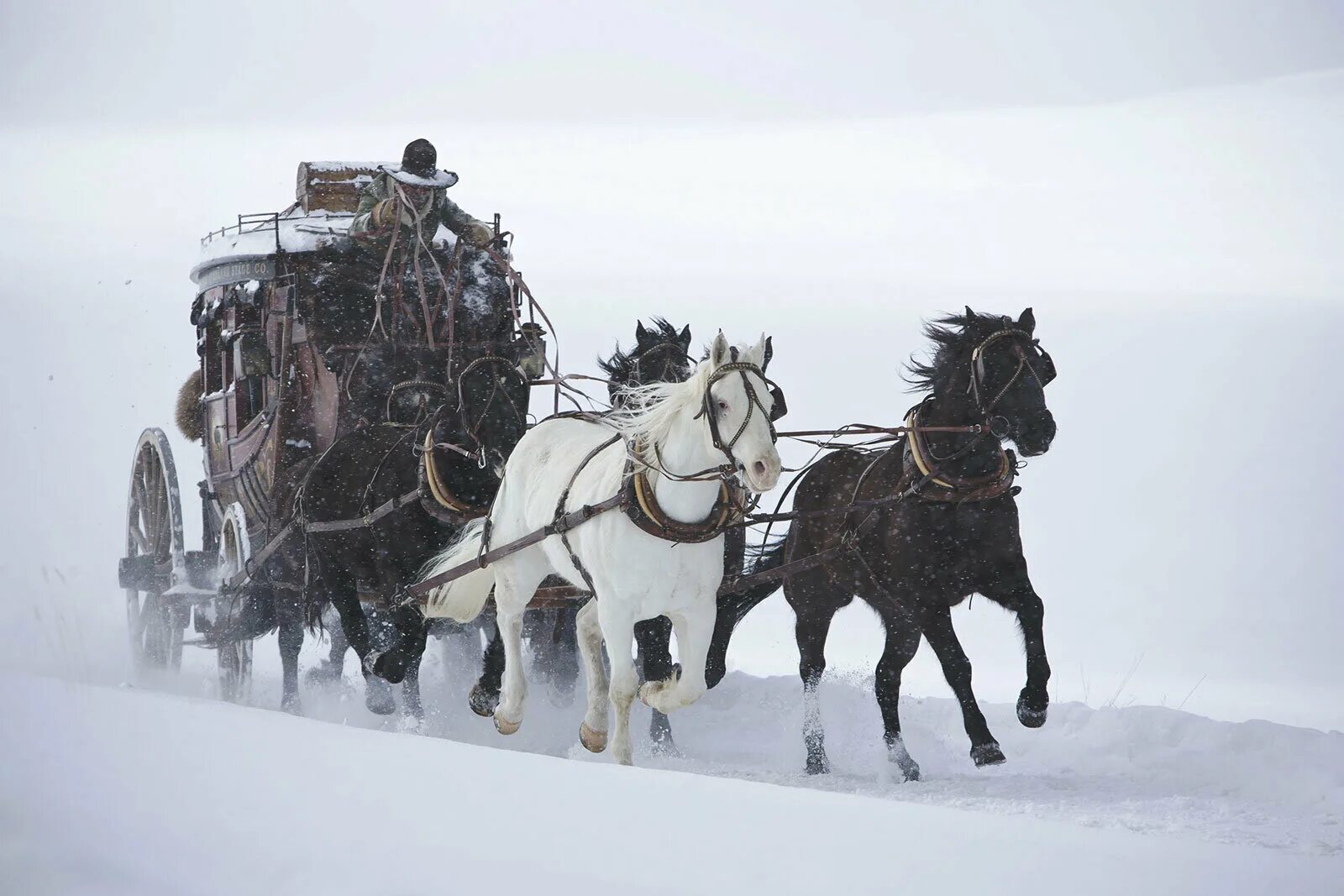 Фото: Омерзительная восьмерка / Кадр из фильма "Омерзительная восьмерка" (2015) 