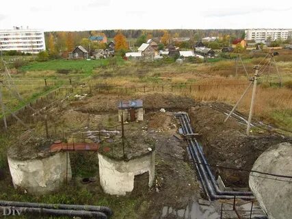 Погода тарасово тосненский ленинградской