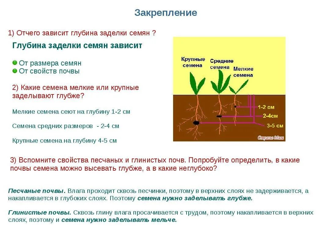 При какой температуре работают удобрения. Таблица глубины посева семян. Посев семян глубина заделки семян. Сроки и глубина посева семян таблица. Глубина заделки семян Томато.