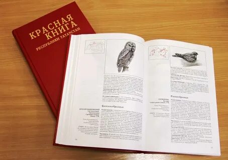 Животные занесенные в красную книгу республики татарстан