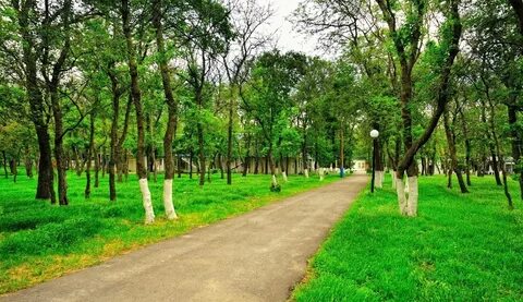 Золотая коса