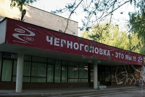 Кон центр
