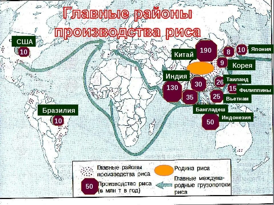 Районы выращивания на карте. Районы производства кукурузы в мире. Районы возделывания риса. Основные районы возделывания риса. Страны где выращивают кукурузу.