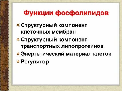 Функции фосфолипидов