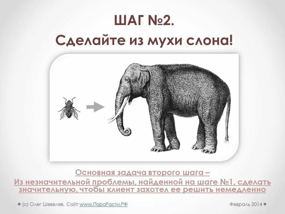Как слон значение фразеологизма. Из мухи слона. сделать из мухи слона. раздувать из мухи слона. делать из мухи слона фразеологизм.