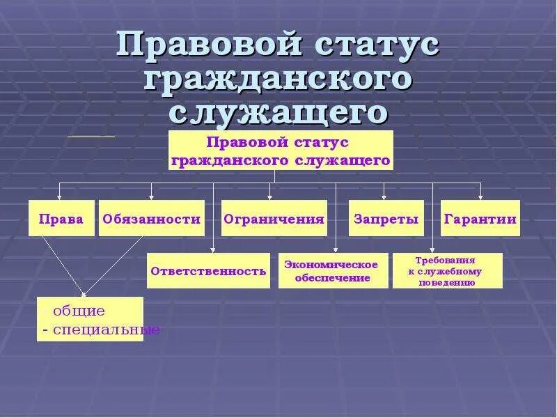 Правовое положение государственных гражданских служащих. Административно-правовой статус государственных служащих. Статус государственной службы. Административно правовой статус госслужащих.