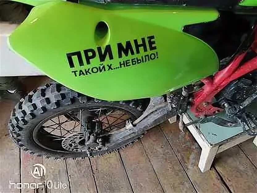 Ирбис авито