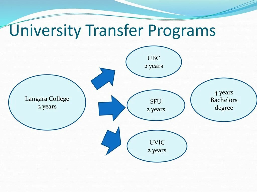 Университет иллюстрация. Университет торонто студенты. Toefl preparation course. University transfer. Transfer student.