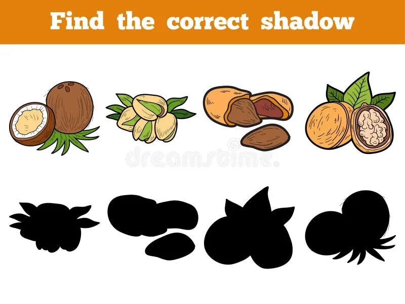 Разгребает листья ищет орех. Орехи найди тень. find the correct shadow. орехи вектор. орехи задания для детей.