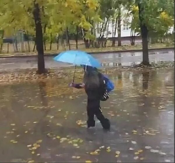 Дождь не прекращавшийся в течение ночи. Дождь на улице. Иваново дождь. Лужа около школы. Дождь по улице идет.
