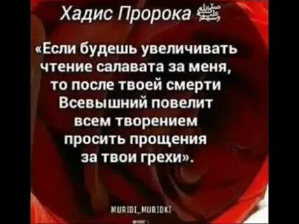 Сегодня пятница салават