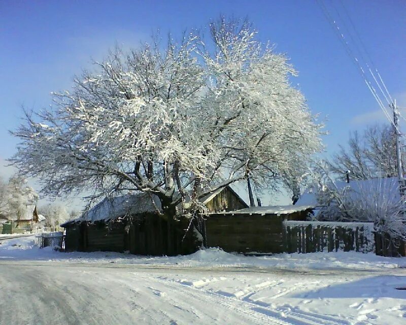 С Сростки Бийского района Алтайского края. Новиково Алтайский край. Село Новиково Алтайский край Бийский район. Село Сростки зимой. Сростки погода бийского алтайского края