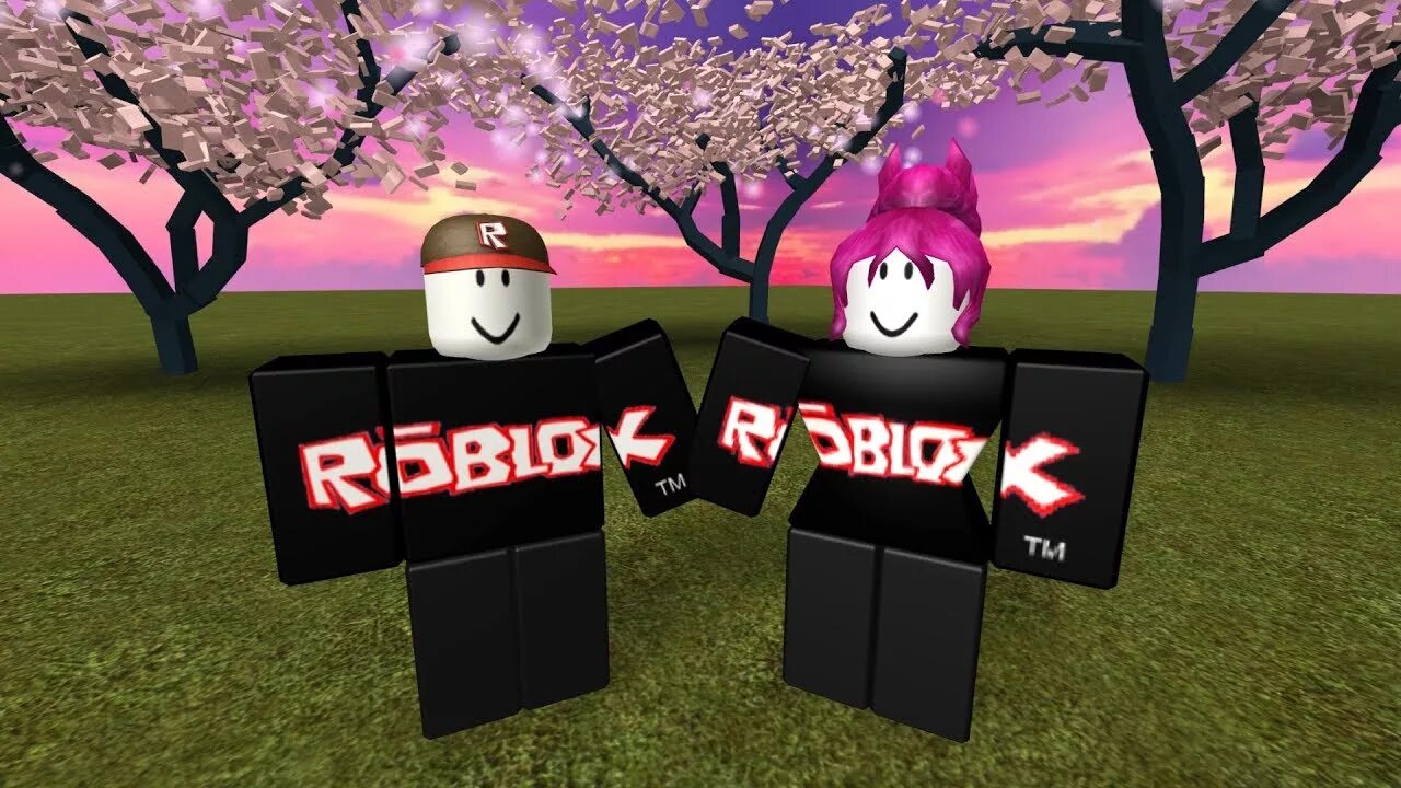 Roblox take. РОБЛОКС. РОБЛОКС картинки. Картинки игры Roblox. Гость РОБЛОКС.