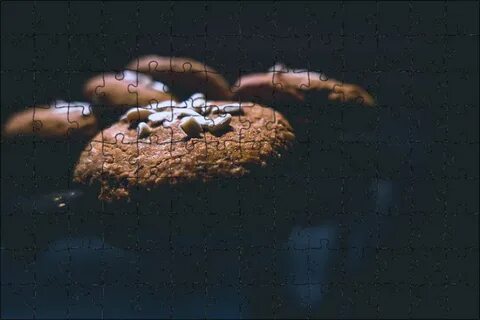 Dark cookie