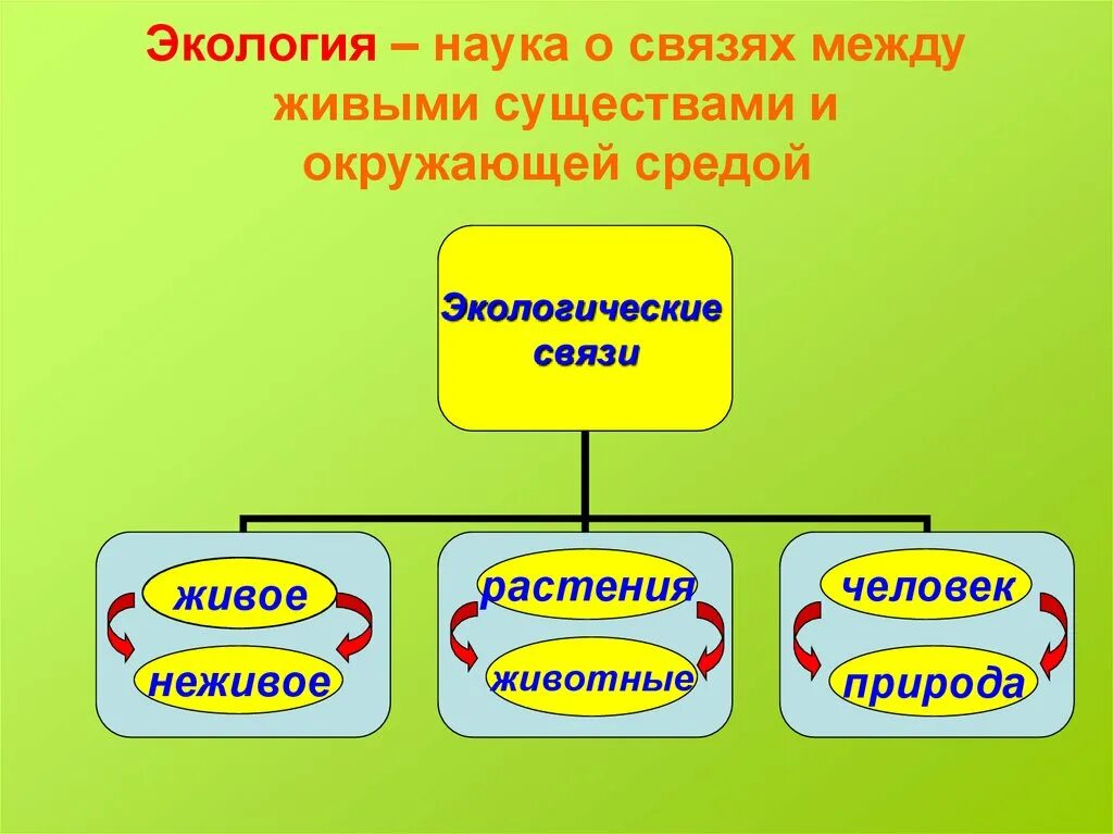 Наука экология помогает 3 класс. Экологические связи. Экологические связи в природе. Модель экологических связей. Экологические связи схема.