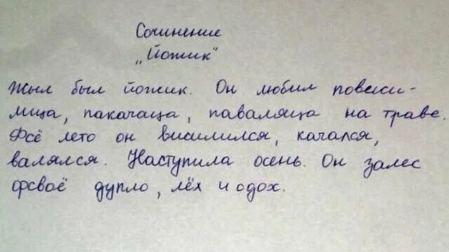 Сочинение веселого рассказа. Смешные сочинения. Смешные детские сочинения. Юмористическое сочинение. Смешные сочинения детей.