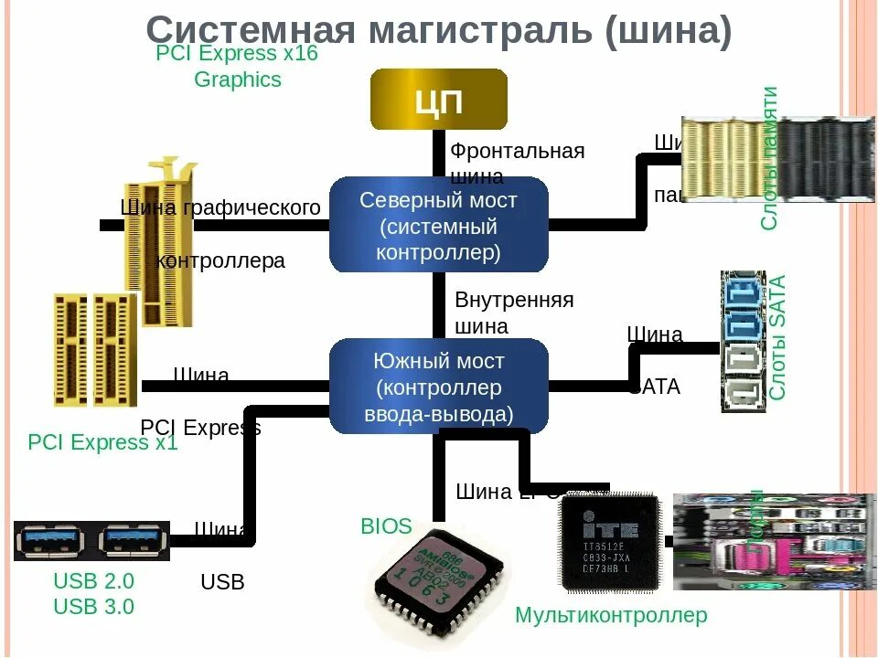 Управление процессором и памятью. Шины процессора схема. Компоненты системной шины ПК. Состав системной шины ПК. Системная шина ПК схема.