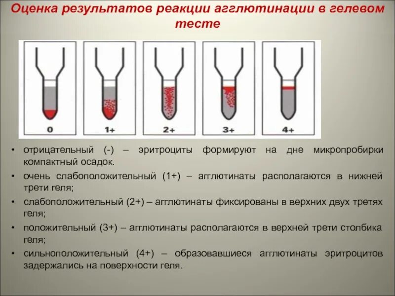 Методы выявления антиэритроцитарных антител. Реакция агглютинации оценка результатов. Гелевые карты для определения антител. Интерпретация результатов агглютинации. Методы реакции агглютинации