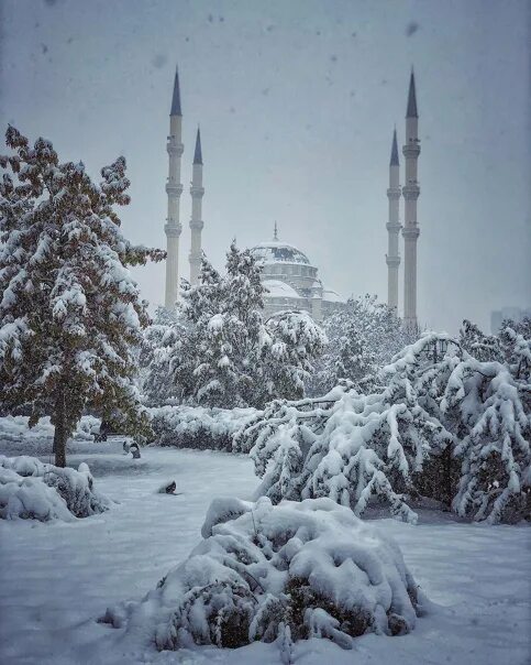 Снег в чечне