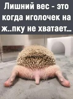Когда не хватает игрушек