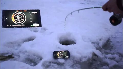Эхолот зимой видео