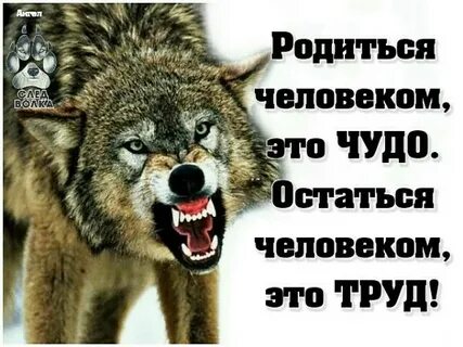 Родить человека остаться человеком